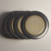 Sandstone Set of 4 Dinner Plates